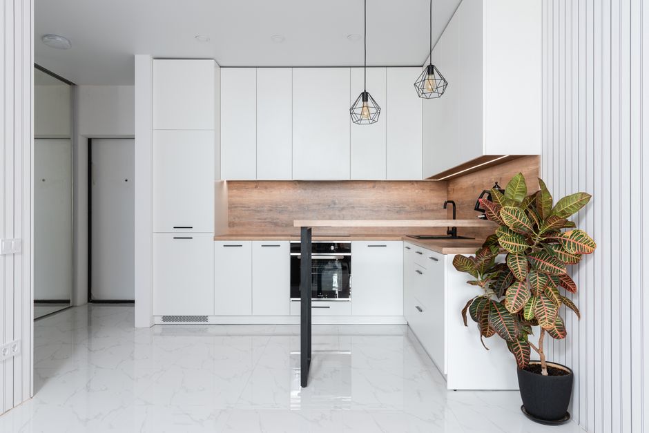Bright kitchen with white cabinets and a potted plant on the counter